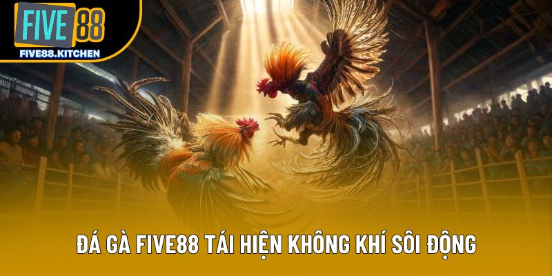 Đá gà Five88 tái hiện không khí sôi động