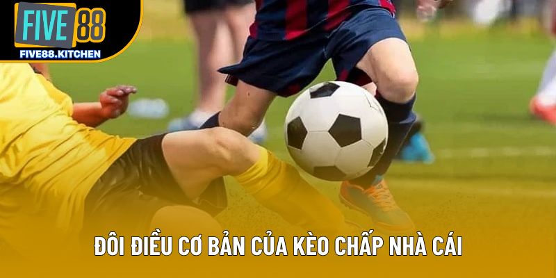 Đôi điều cơ bản của kèo chấp nhà cái Đôi điều cơ bản của kèo chấp nhà cái