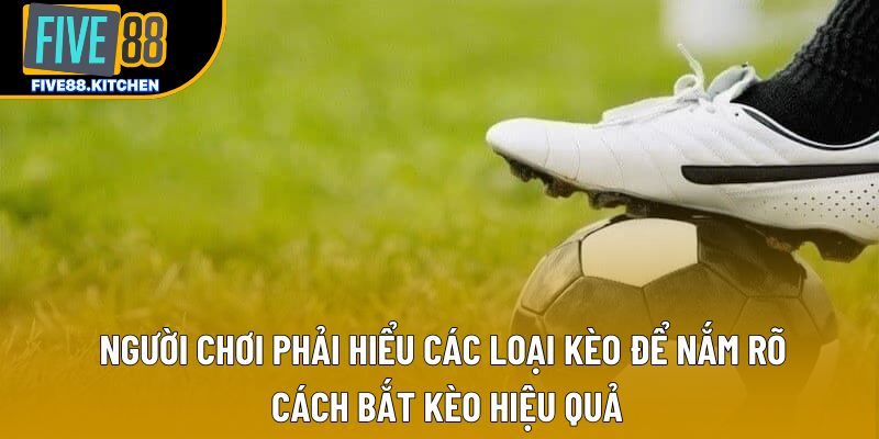 Người chơi phải hiểu các loại kèo để nắm rõ cách bắt kèo hiệu quả Người chơi phải hiểu các loại kèo để nắm rõ cách bắt kèo hiệu quả