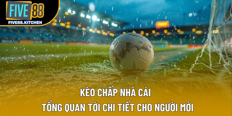 Kèo Chấp Nhà Cái | Tổng Quan Tới Chi Tiết Cho Người Mới